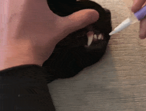 Gel Minune pentru Dinți Pisicuțe